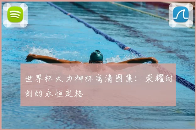 世界杯大力神杯高清图集:荣耀时刻的永恒定格