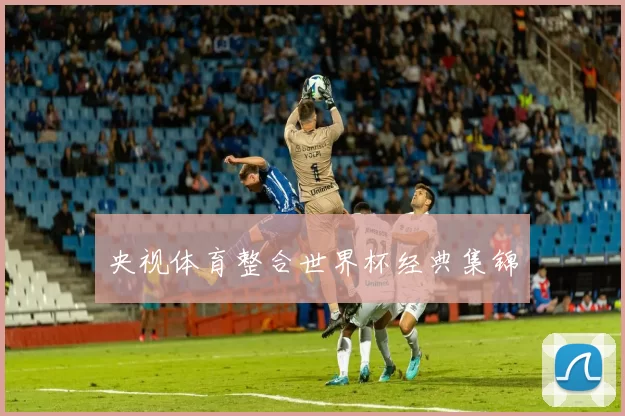 央视体育整合世界杯经典集锦