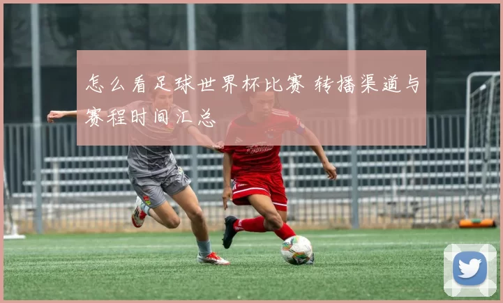 怎么看足球世界杯比赛 转播渠道与赛程时间汇总