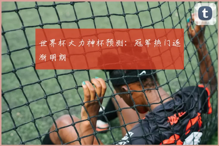 世界杯大力神杯预测:冠军热门逐渐明朗
