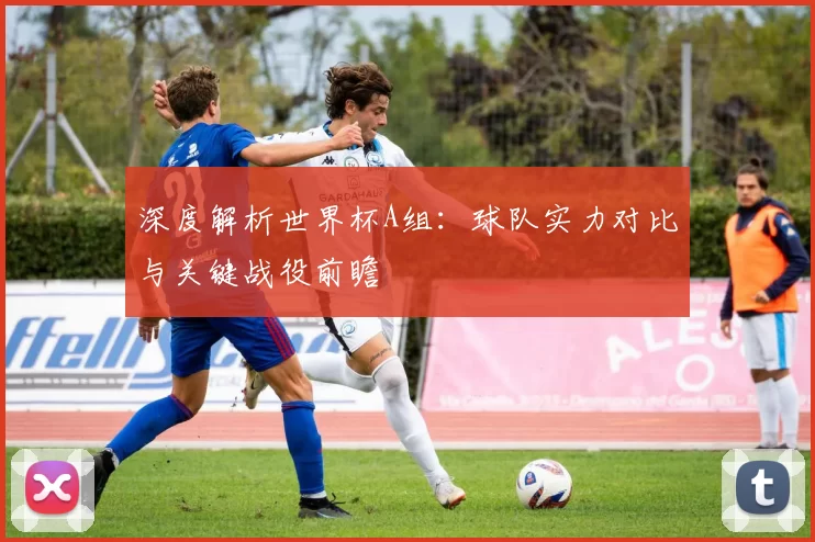 深度解析世界杯A组：球队实力对比与关键战役前瞻