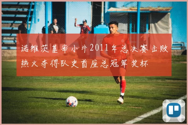 诺维茨基率小牛2011年总决赛击败热火夺得队史首座总冠军奖杯