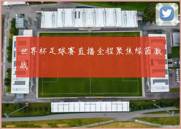 世界杯足球赛直播全程聚焦绿茵激战
