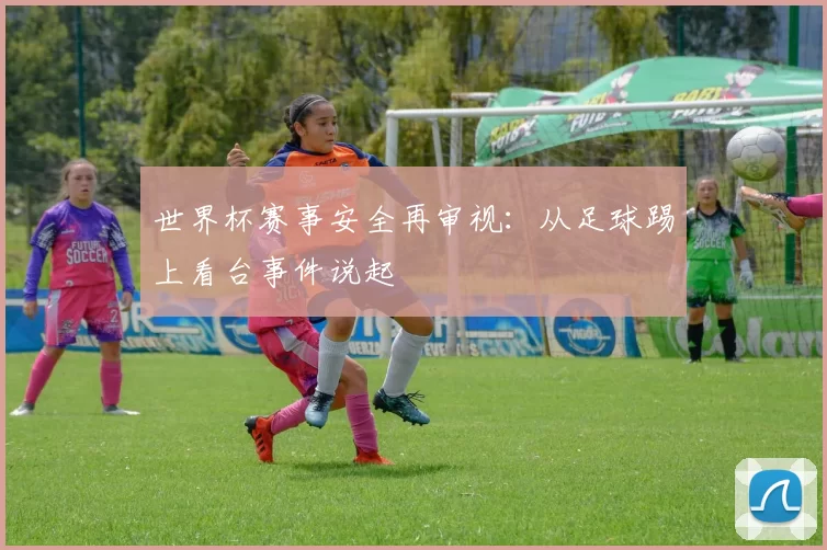 世界杯赛事安全再审视：从足球踢上看台事件说起