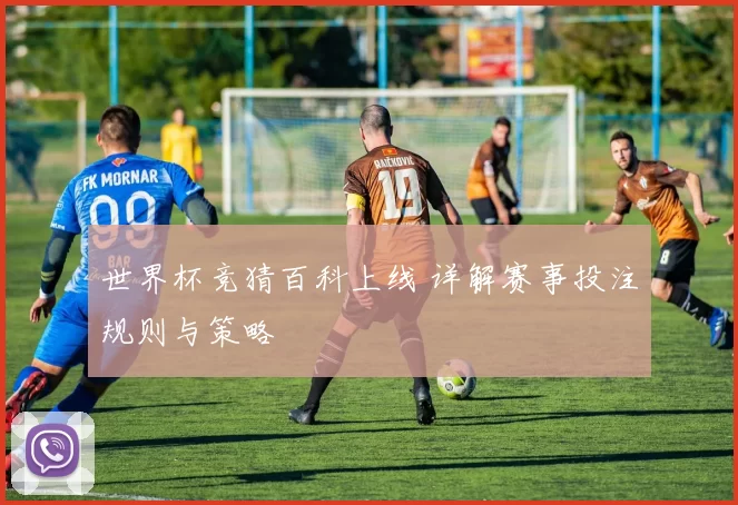 世界杯竞猜百科上线 详解赛事投注规则与策略