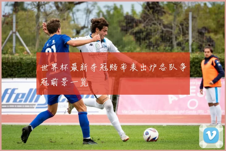 世界杯最新夺冠赔率表出炉各队争冠前景一览