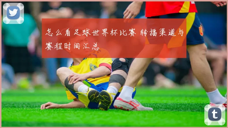 怎么看足球世界杯比赛 转播渠道与赛程时间汇总