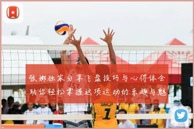 张娜独家分享飞盘技巧与心得体会助你轻松掌握这项运动的乐趣与魅力