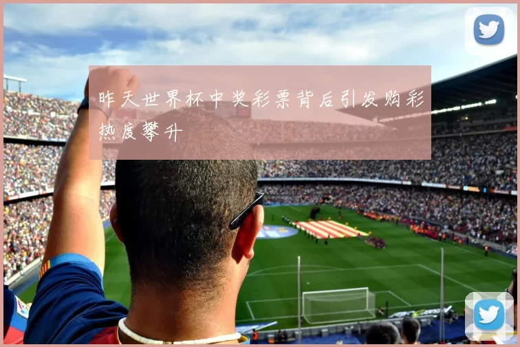 昨天世界杯中奖彩票背后引发购彩热度攀升
