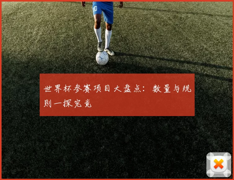 世界杯参赛项目大盘点:数量与规则一探究竟