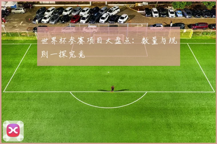 世界杯参赛项目大盘点:数量与规则一探究竟