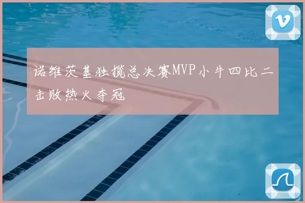 诺维茨基独揽总决赛MVP小牛四比二击败热火夺冠