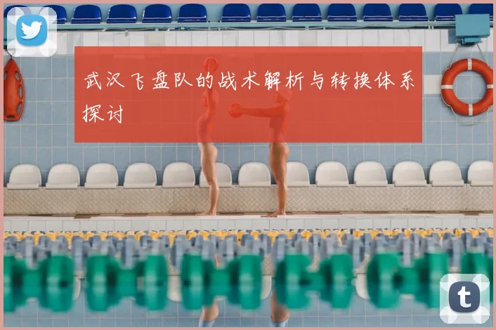 武汉飞盘队的战术解析与转换体系探讨