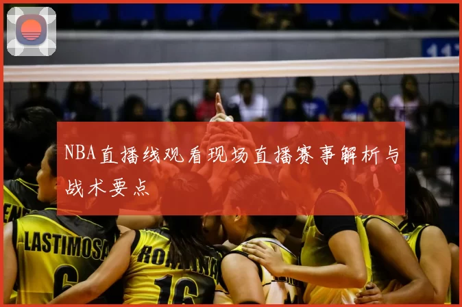NBA直播线观看现场直播赛事解析与战术要点