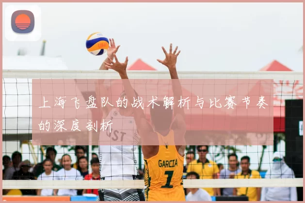 上海飞盘队的战术解析与比赛节奏的深度剖析